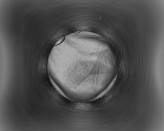 X0000086000234200704131812