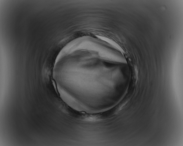 X0000086000235200704131812