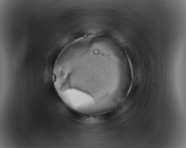 X0000086000236200704131812