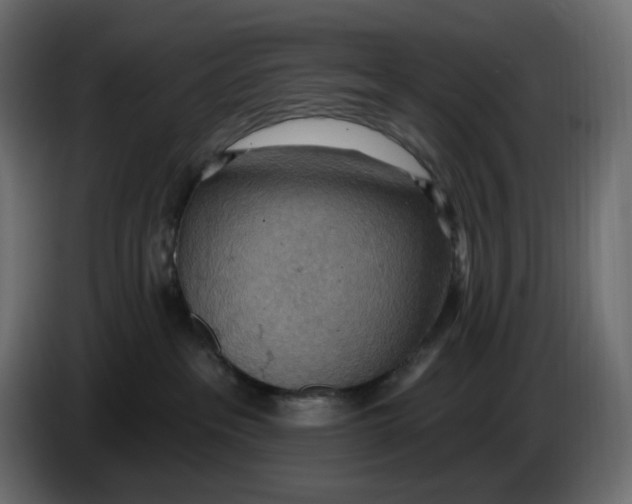 X0000086000237200704131812