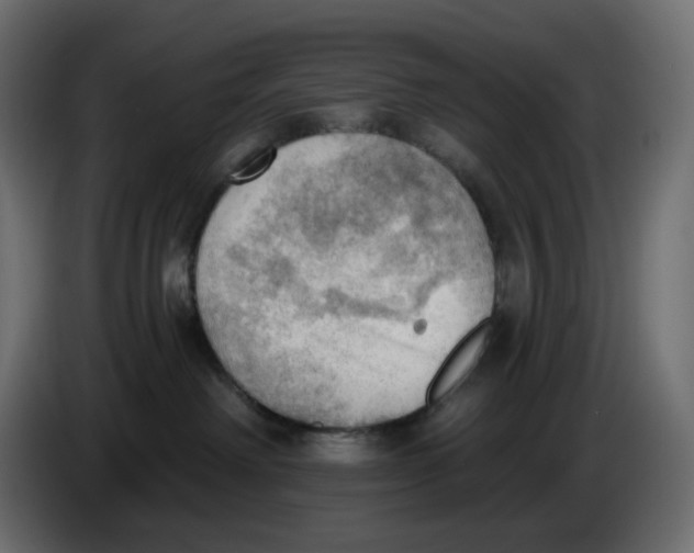 X0000086000238200704131812