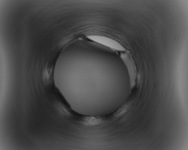 X0000086000239200704131812