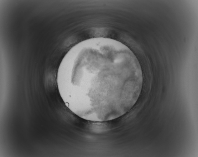 X0000086000240200704131812