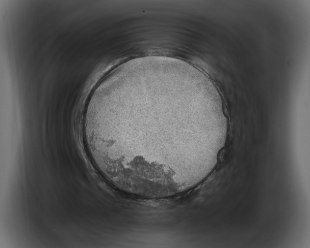 X0000086000241200704131811