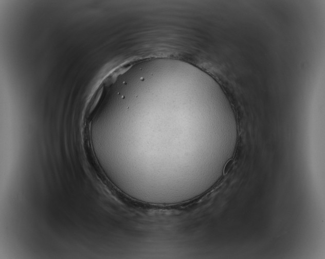 X0000086000242200704131811