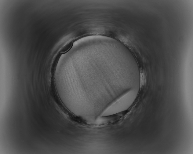 X0000086000243200704131811