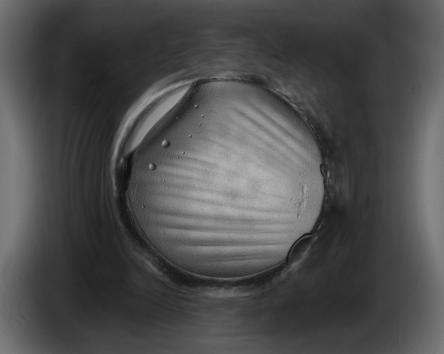 X0000086000246200704131811