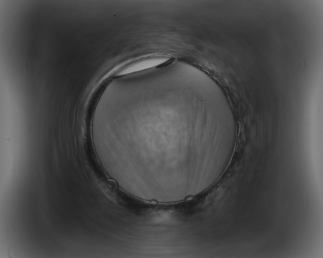 X0000086000247200704131811