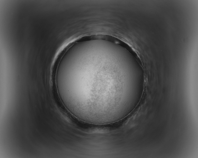 X0000086000248200704131811