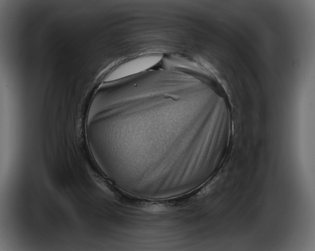 X0000086000249200704131811