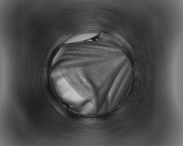 X0000086000250200704131811