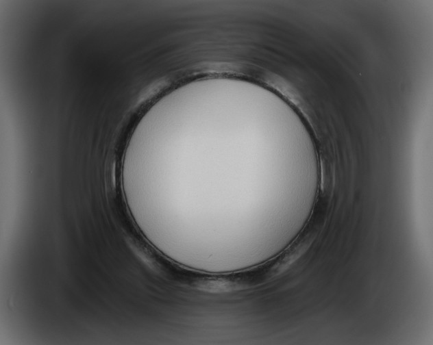 X0000086000253200704131811