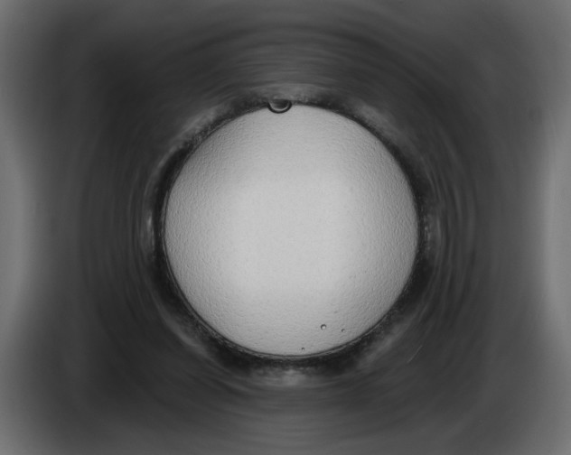 X0000086000254200704131811