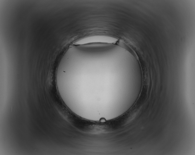 X0000086000255200704131811