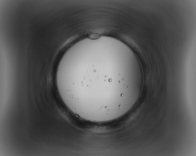 X0000086000256200704131811