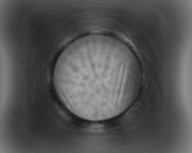 X0000086000257200704131811