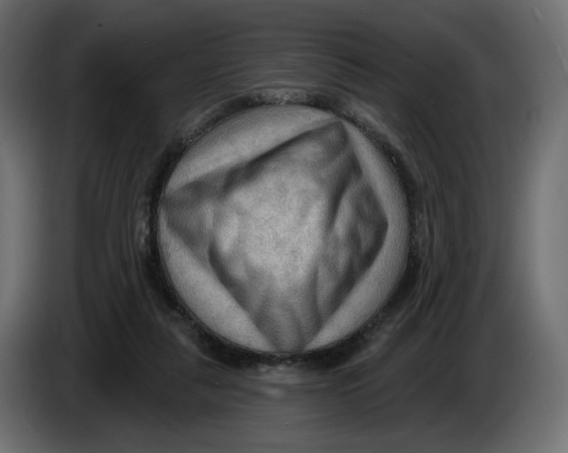 X0000086000259200704131811