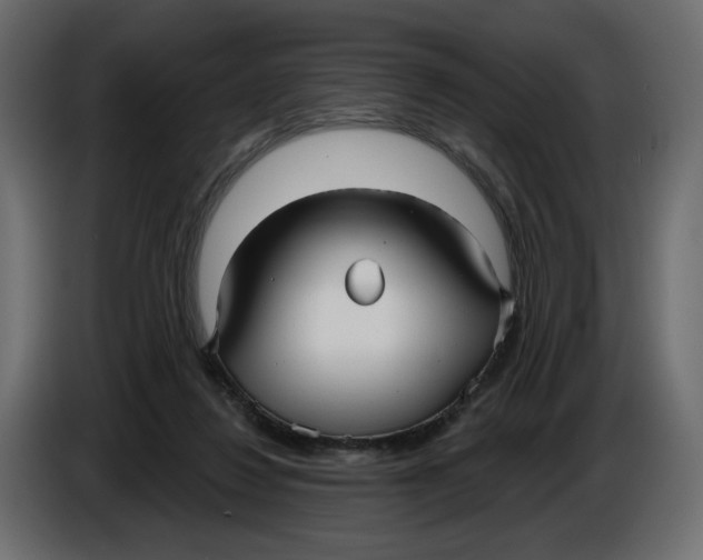 X0000086000260200704131811