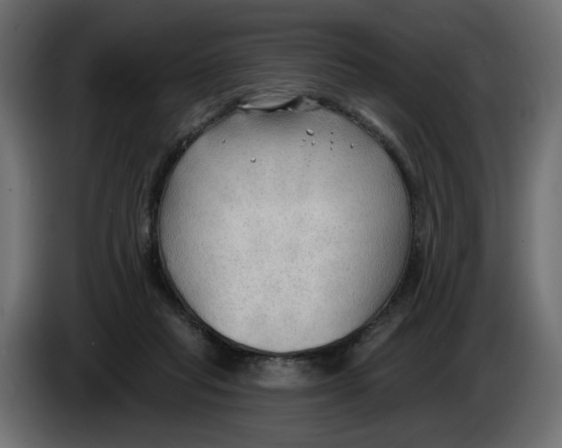 X0000086000261200704131811