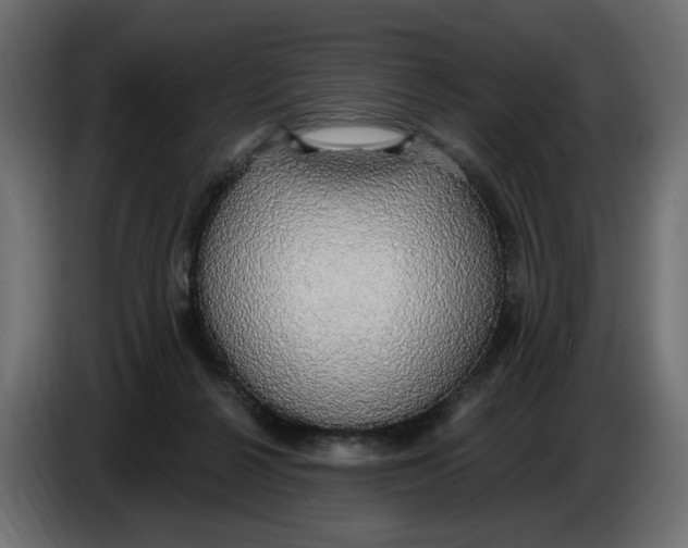 X0000086000264200704131812