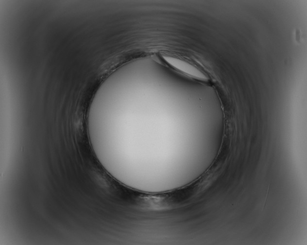 X0000086000265200704131812