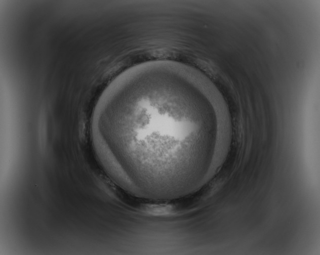 X0000086000266200704131812