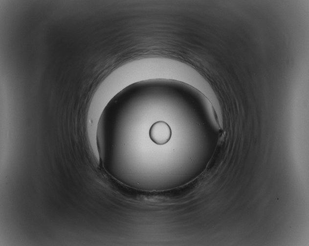 X0000086000268200704131812