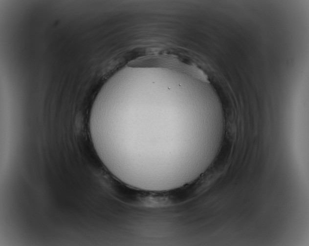 X0000086000270200704131812