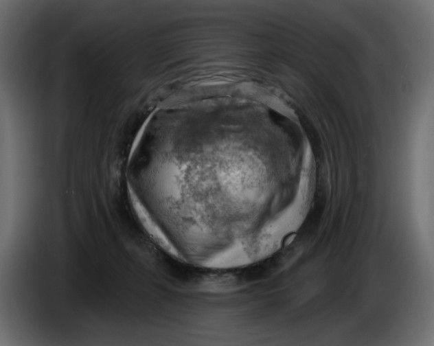 X0000086000271200704131812