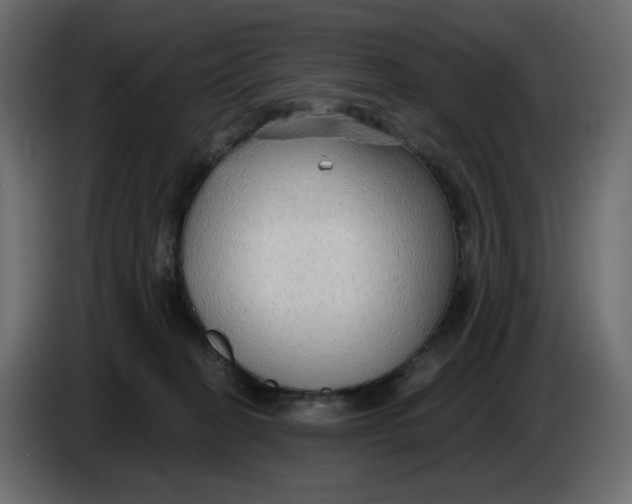 X0000086000274200704131812