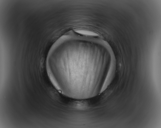 X0000086000275200704131812