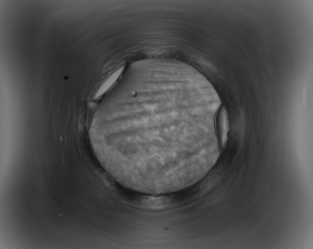 X0000086000277200704131812