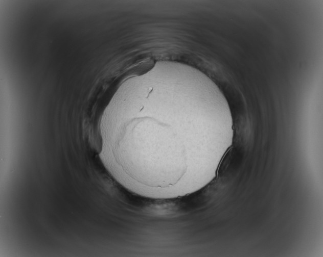 X0000086000278200704131812