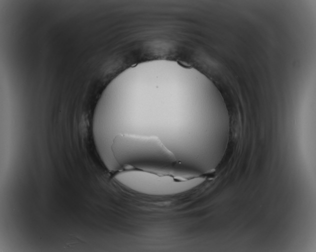 X0000086000279200704131812