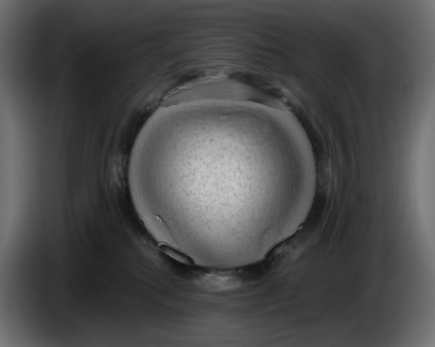 X0000086000280200704131812