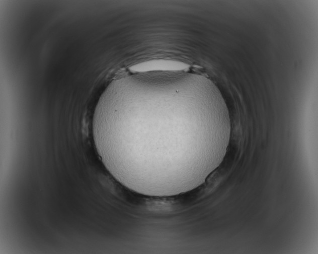 X0000086000282200704131812