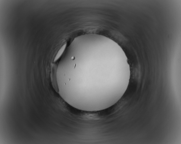 X0000086000283200704131812