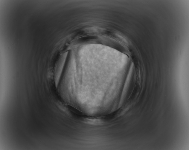 X0000086000284200704131812