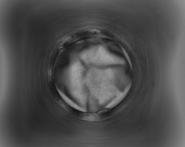 X0000086000288200704131812