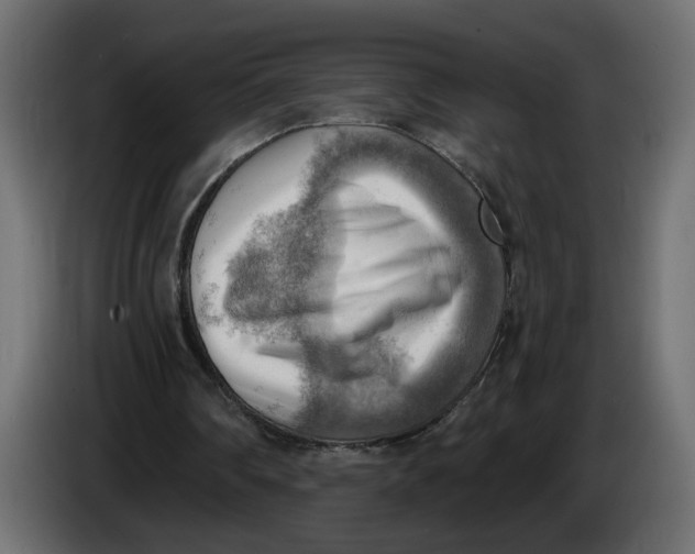 X0000086000290200704131811