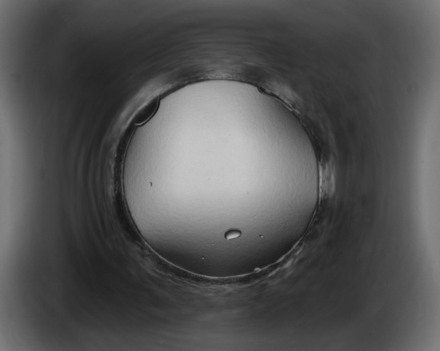 X0000086000291200704131811