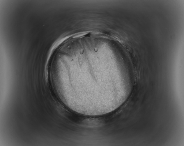 X0000086000294200704131811