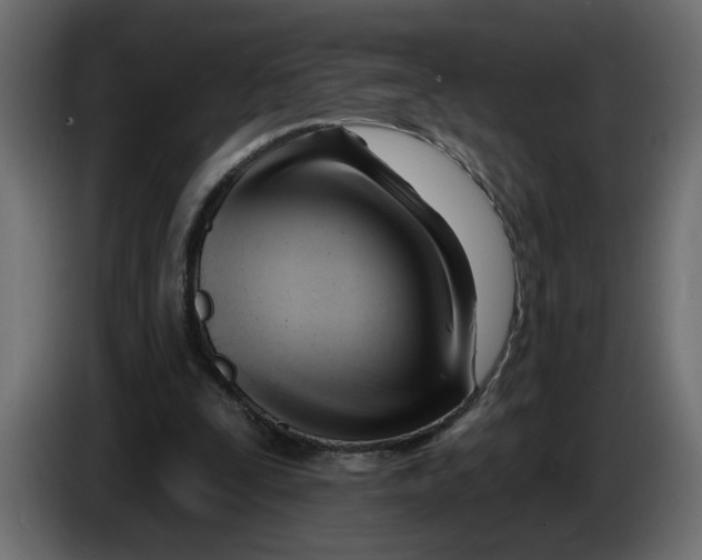 X0000086000295200704131811