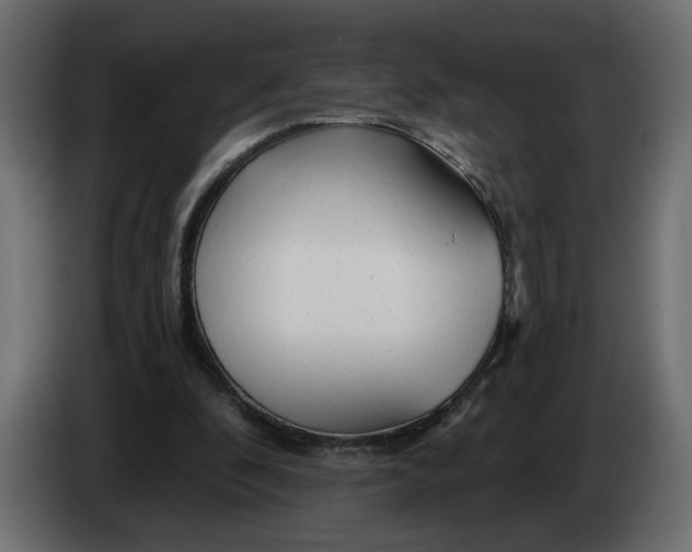 X0000086000296200704131811