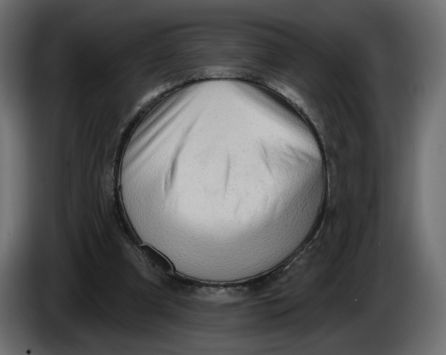 X0000086000297200704131811