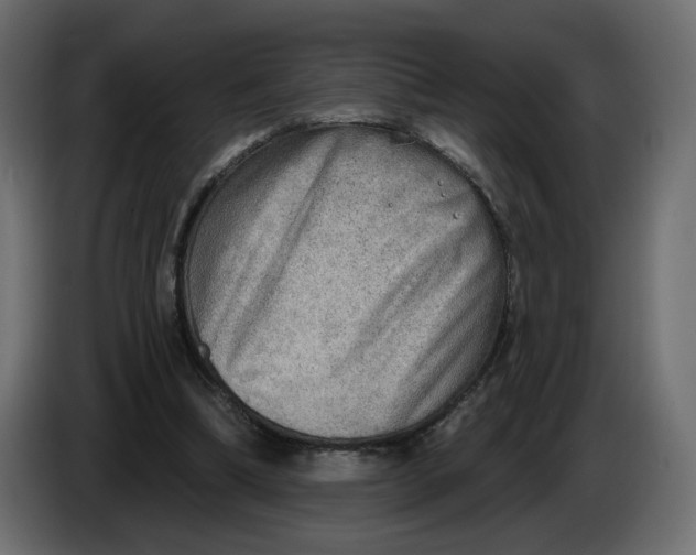 X0000086000298200704131811