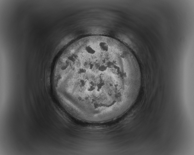 X0000086000299200704131811