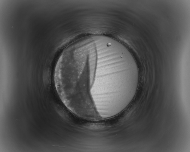 X0000086000303200704131811