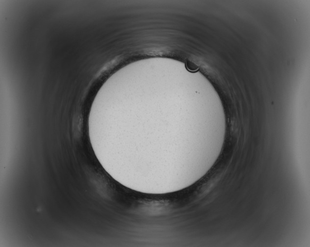 X0000086000304200704131811