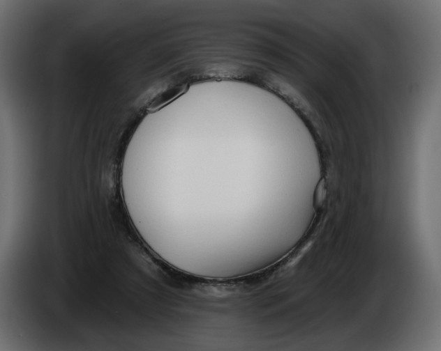 X0000086000305200704131811